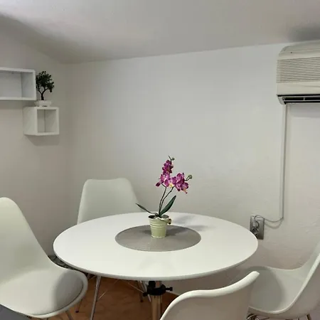 Violet * טרוגיר